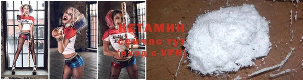 сатива Магадан