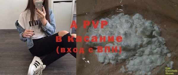 СК Магас