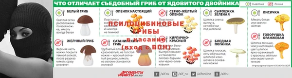 сатива Магадан