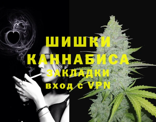 сатива Магадан