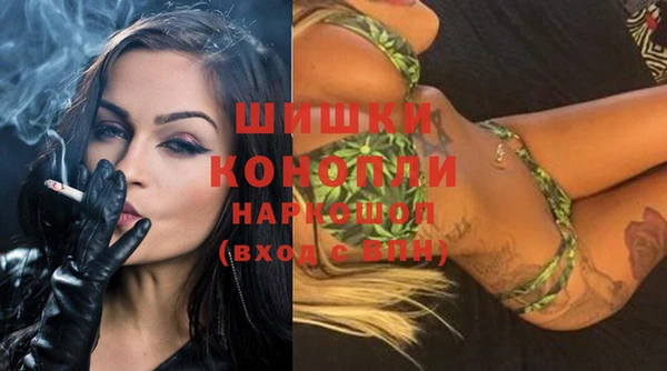 мдпв Надым