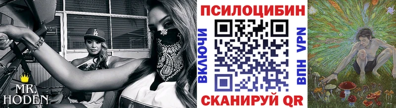 hydra   Суровикино  Псилоцибиновые грибы Psilocybine cubensis  цены наркотик 